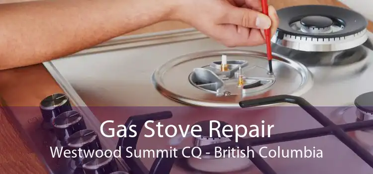 Gas Stove Repair Westwood Summit CQ - British Columbia