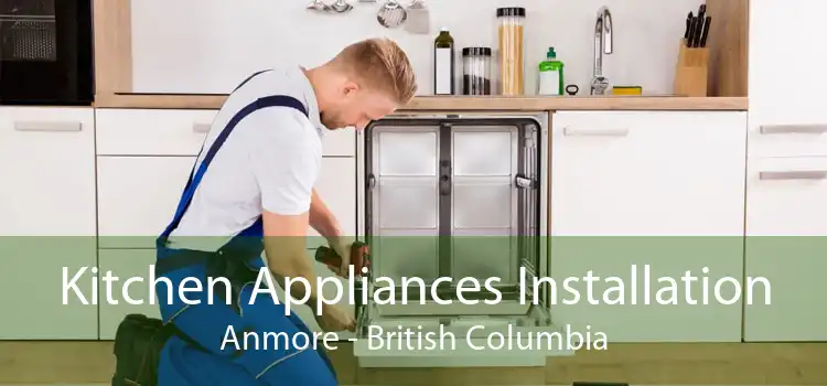 Kitchen Appliances Installation Anmore - British Columbia
