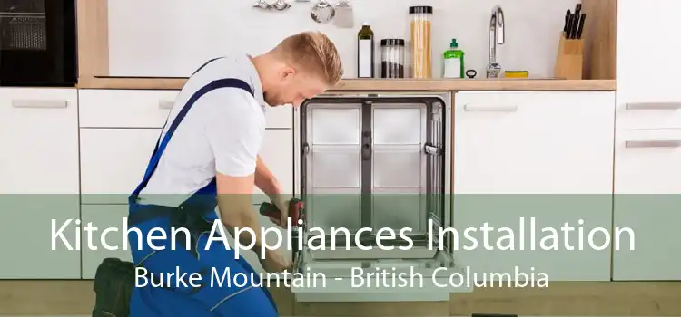 Kitchen Appliances Installation Burke Mountain - British Columbia