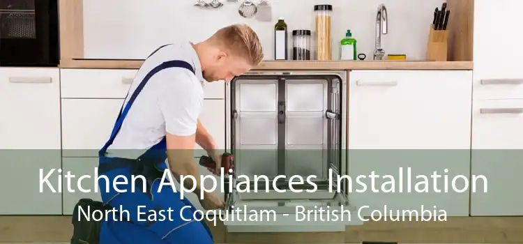 Kitchen Appliances Installation North East Coquitlam - British Columbia