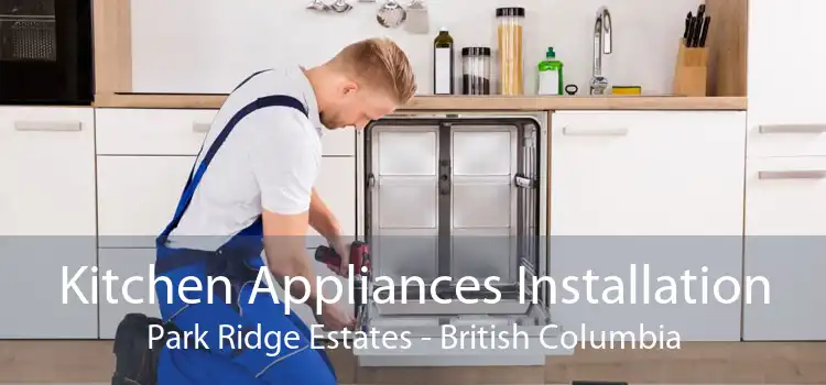 Kitchen Appliances Installation Park Ridge Estates - British Columbia