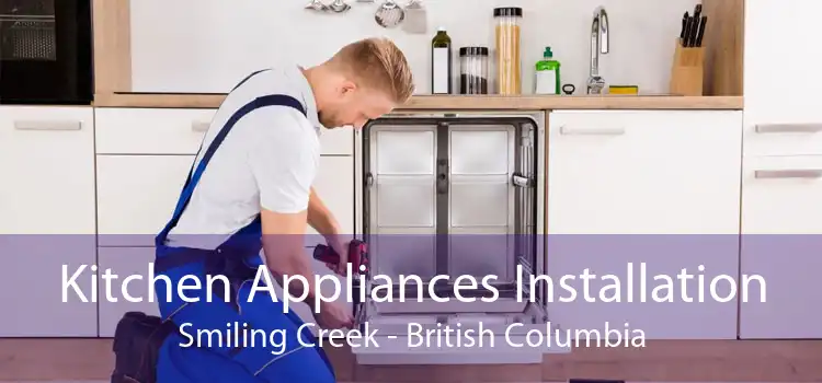 Kitchen Appliances Installation Smiling Creek - British Columbia
