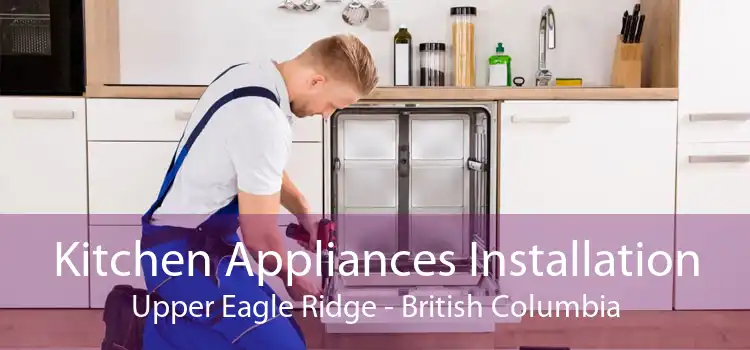 Kitchen Appliances Installation Upper Eagle Ridge - British Columbia