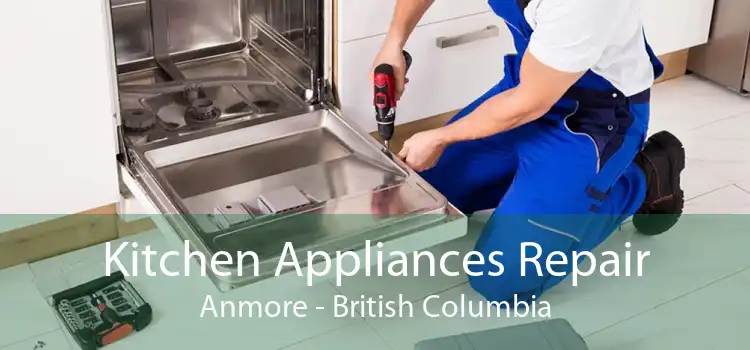 Kitchen Appliances Repair Anmore - British Columbia
