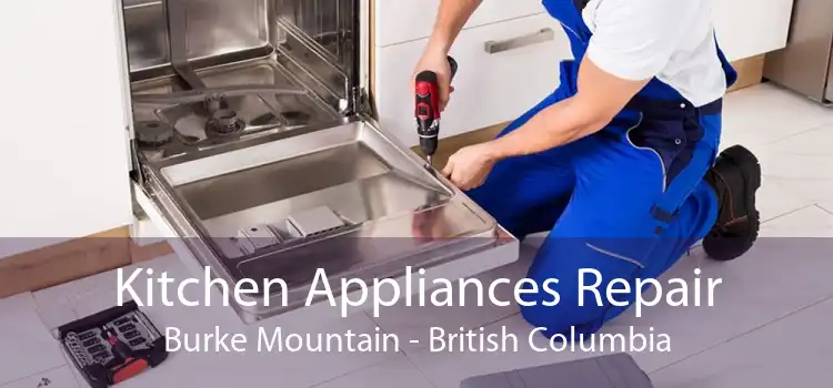 Kitchen Appliances Repair Burke Mountain - British Columbia