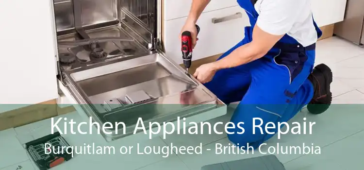 Kitchen Appliances Repair Burquitlam or Lougheed - British Columbia