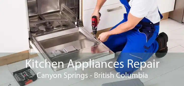 Kitchen Appliances Repair Canyon Springs - British Columbia