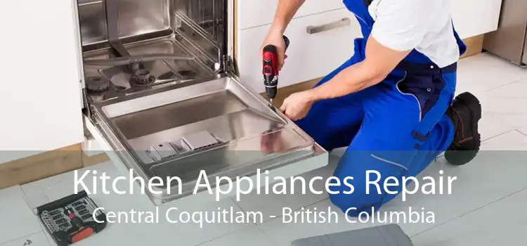 Kitchen Appliances Repair Central Coquitlam - British Columbia