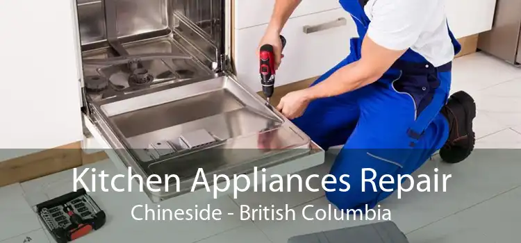 Kitchen Appliances Repair Chineside - British Columbia