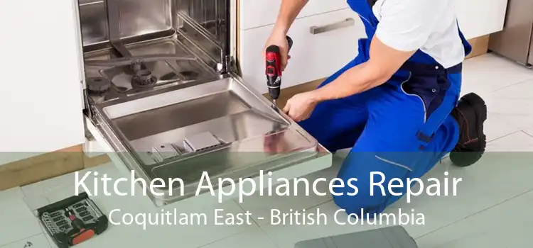 Kitchen Appliances Repair Coquitlam East - British Columbia