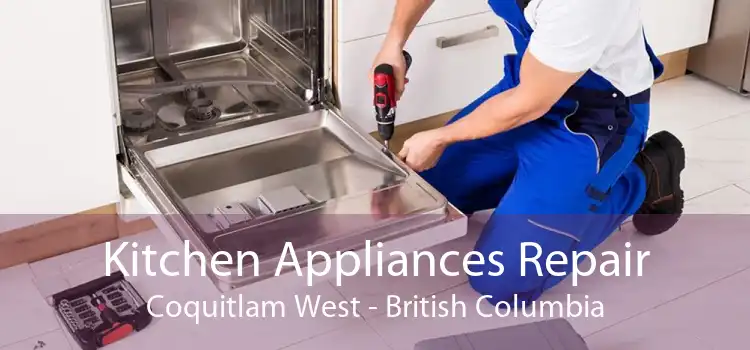 Kitchen Appliances Repair Coquitlam West - British Columbia