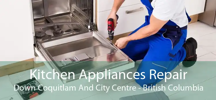 Kitchen Appliances Repair Down Coquitlam And City Centre - British Columbia