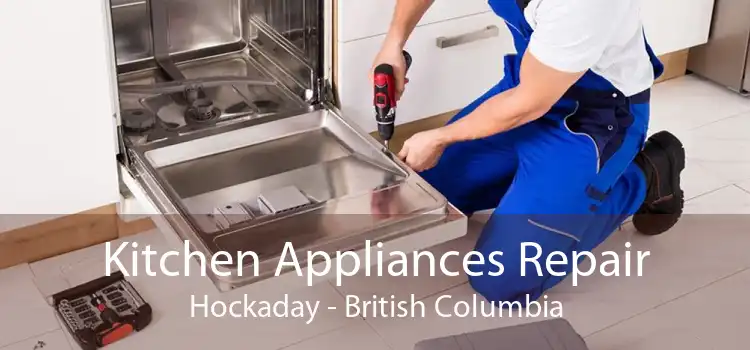 Kitchen Appliances Repair Hockaday - British Columbia