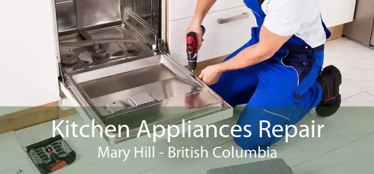 Kitchen Appliances Repair Mary Hill - British Columbia