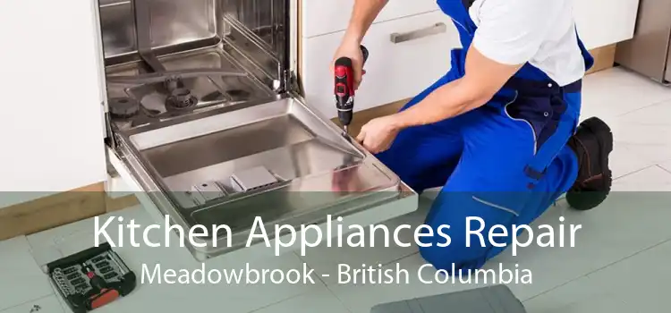 Kitchen Appliances Repair Meadowbrook - British Columbia