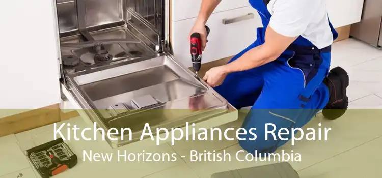 Kitchen Appliances Repair New Horizons - British Columbia
