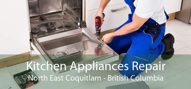 Kitchen Appliances Repair North East Coquitlam - British Columbia