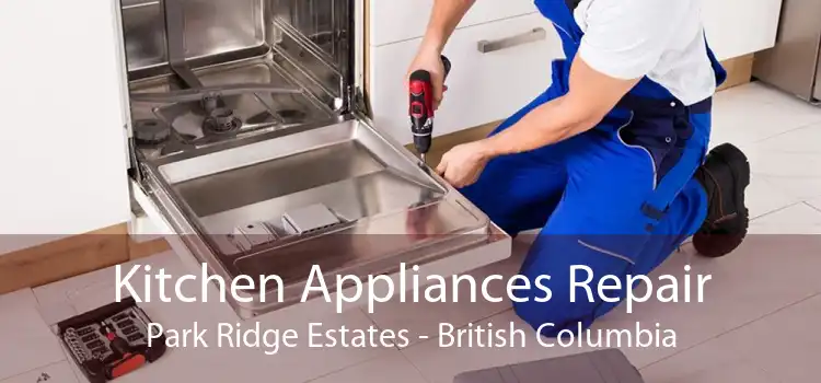 Kitchen Appliances Repair Park Ridge Estates - British Columbia