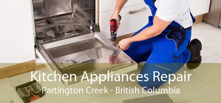 Kitchen Appliances Repair Partington Creek - British Columbia