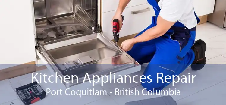 Kitchen Appliances Repair Port Coquitlam - British Columbia
