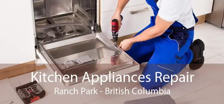 Kitchen Appliances Repair Ranch Park - British Columbia