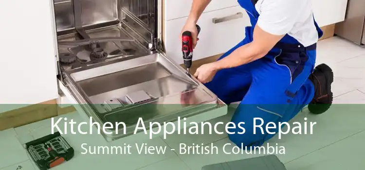 Kitchen Appliances Repair Summit View - British Columbia