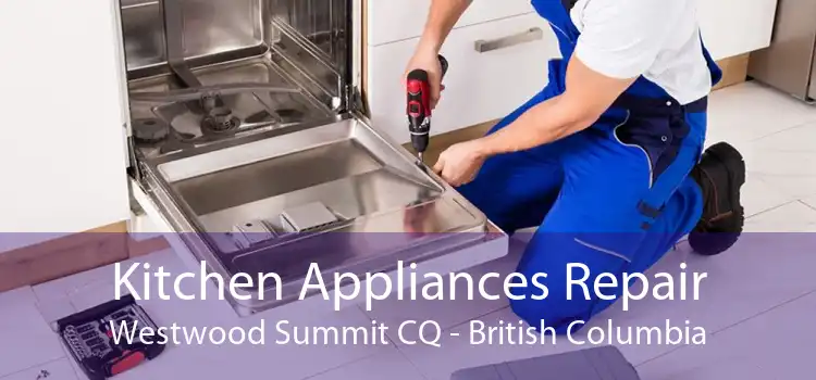 Kitchen Appliances Repair Westwood Summit CQ - British Columbia