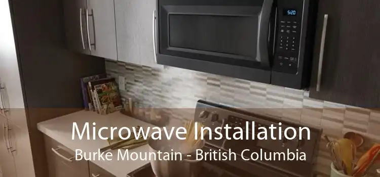 Microwave Installation Burke Mountain - British Columbia