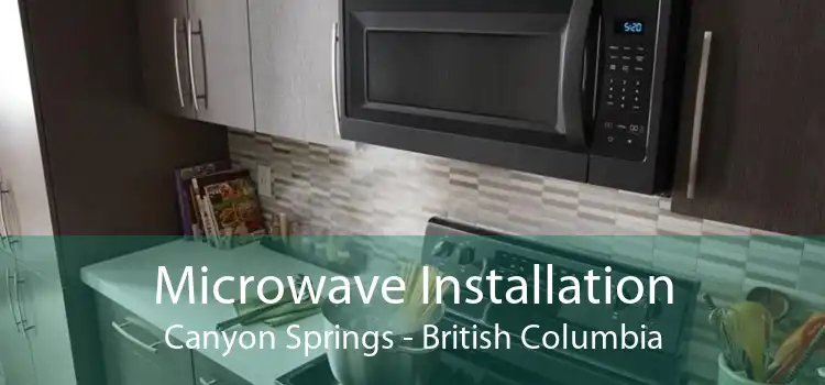 Microwave Installation Canyon Springs - British Columbia