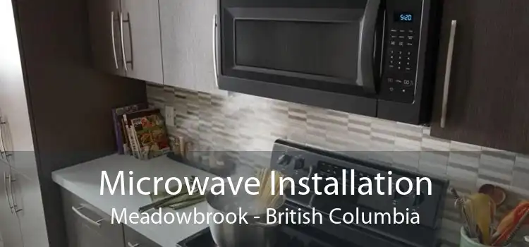 Microwave Installation Meadowbrook - British Columbia