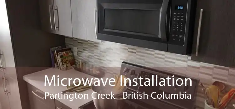 Microwave Installation Partington Creek - British Columbia