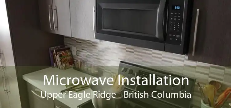 Microwave Installation Upper Eagle Ridge - British Columbia