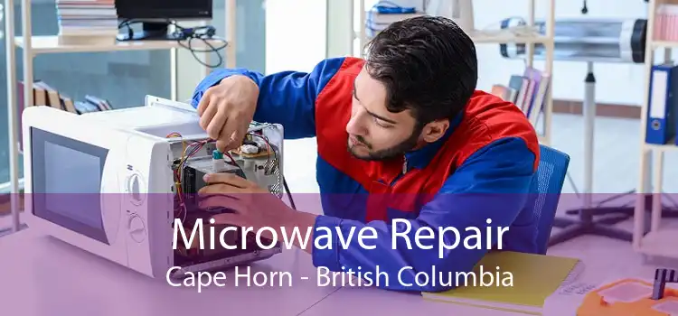 Microwave Repair Cape Horn - British Columbia