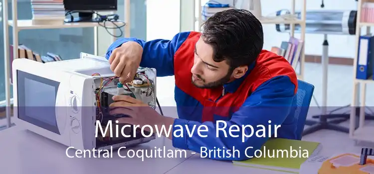 Microwave Repair Central Coquitlam - British Columbia