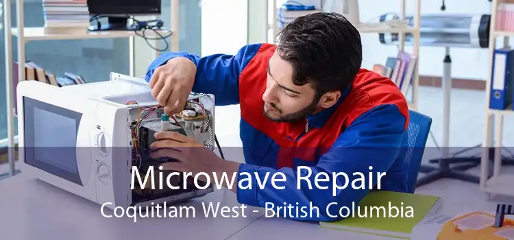 Microwave Repair Coquitlam West - British Columbia