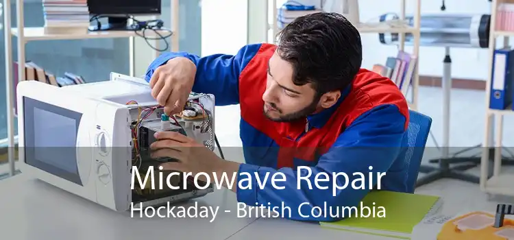Microwave Repair Hockaday - British Columbia