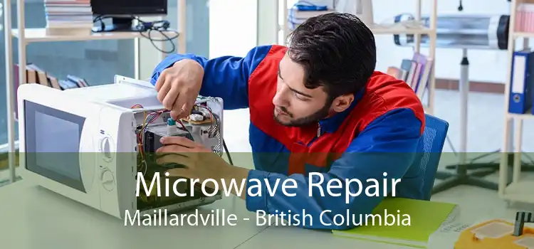 Microwave Repair Maillardville - British Columbia