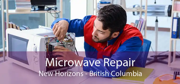 Microwave Repair New Horizons - British Columbia