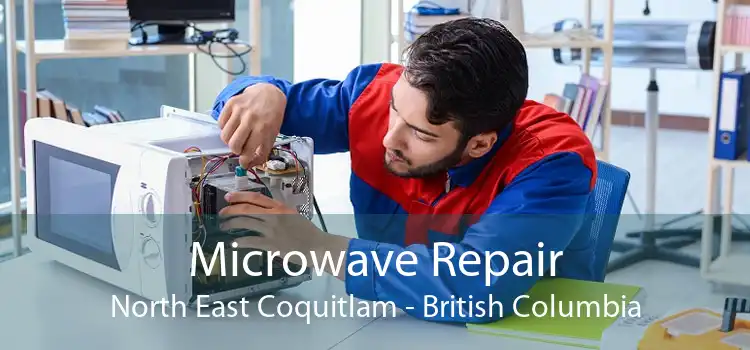 Microwave Repair North East Coquitlam - British Columbia