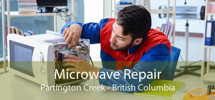 Microwave Repair Partington Creek - British Columbia