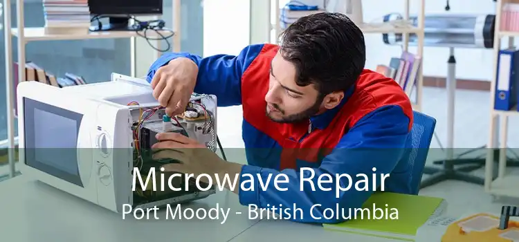 Microwave Repair Port Moody - British Columbia
