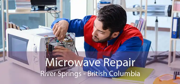 Microwave Repair River Springs - British Columbia