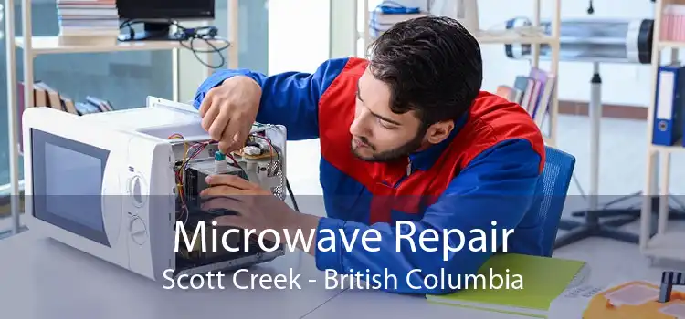 Microwave Repair Scott Creek - British Columbia