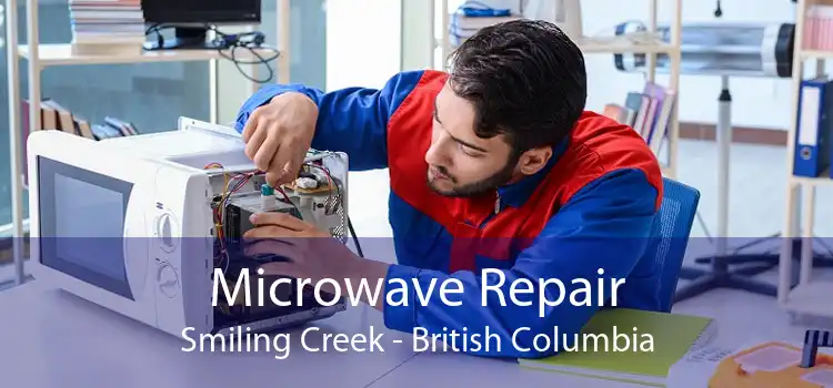 Microwave Repair Smiling Creek - British Columbia