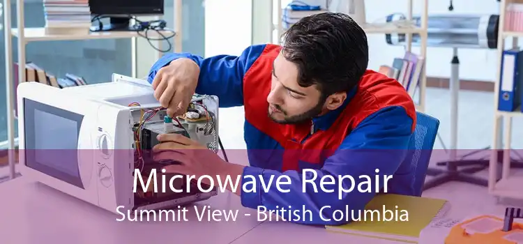 Microwave Repair Summit View - British Columbia