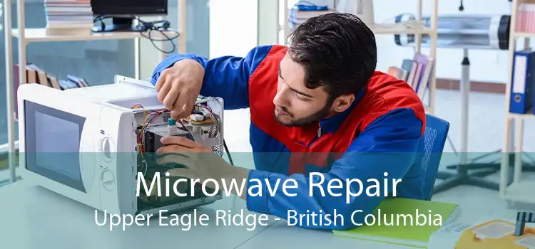 Microwave Repair Upper Eagle Ridge - British Columbia