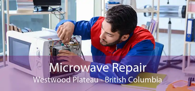 Microwave Repair Westwood Plateau - British Columbia