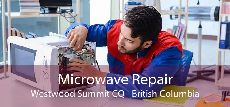 Microwave Repair Westwood Summit CQ - British Columbia