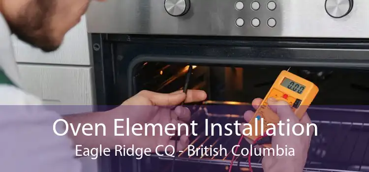 Oven Element Installation Eagle Ridge CQ - British Columbia