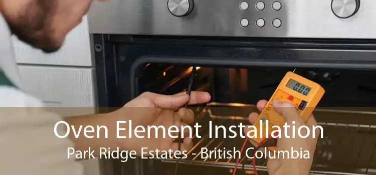 Oven Element Installation Park Ridge Estates - British Columbia